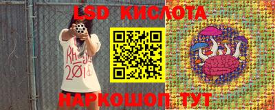 прущие грибы Пыть-Ях