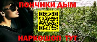 прущие грибы Пыть-Ях