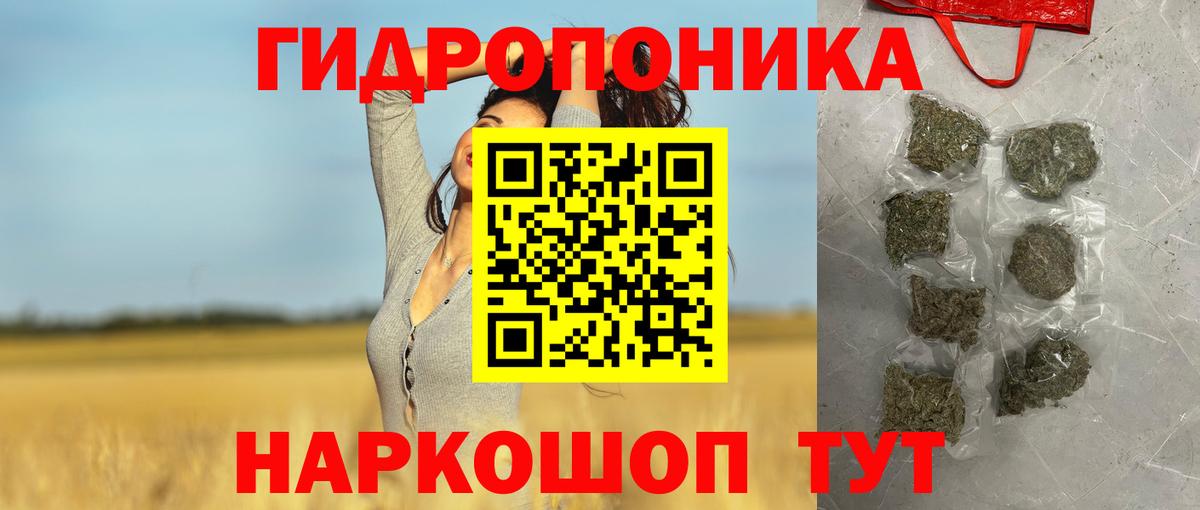 Канабис семена Санкт-Петербург